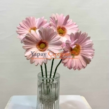 pembe ıslak papatya