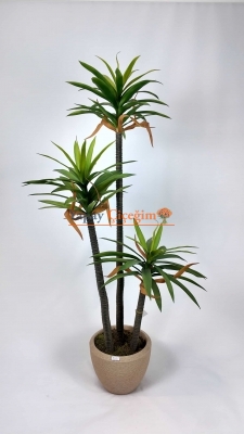 3'lü Aloe Vera Yapay Ağaç