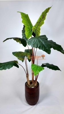 Alocasia Fil Kulağı Yapay Ağaç
