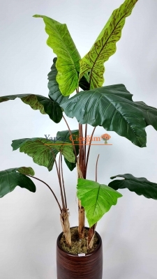 Alocasia Fil Kulağı Yapay Ağaç