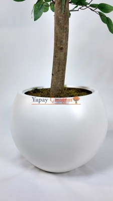 Yapay Benjamin Çiçeği