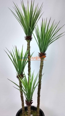 Yapay Aloe Vera Ağacı
