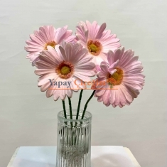 pembe ıslak papatya