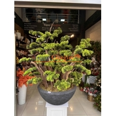 Premium Yapay Bonzai