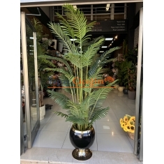Salon Çiçeği
