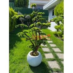 Lüks Yapay Bonzai Ağacı