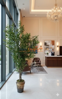 metal saksılı zeytin ağacı