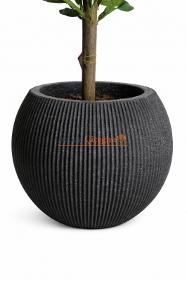 Mutfak İçin Yapay Ağaç