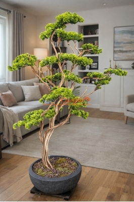 Premium Bonzai Ağacı 2.00 Mt