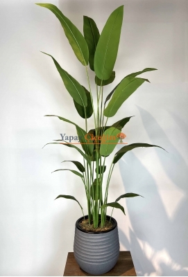 Strelitzia nicolai Yapay Ağaç