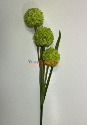 Yeşil Top Çiçek Uzun Vazo Çiçeği