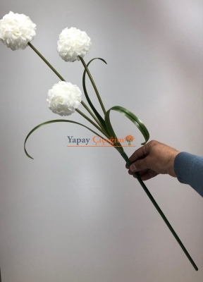 Beyaz Top Çiçek Uzun Vazo ÇiçeğiBeyaz Top Çiçek Uzun Vazo Çiçeği