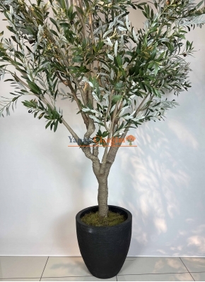 Dev Yapay Zeytin Ağacı