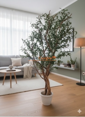 Doğal Gövdeli Zeytin Ağacı