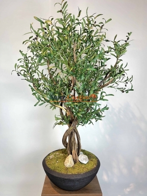 Siyah Saksılı Premium Yapay Zeytin Ağacı
