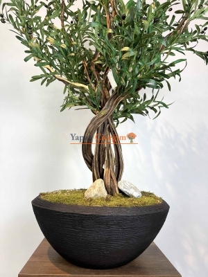 Siyah Saksılı Premium Yapay Zeytin Ağacı