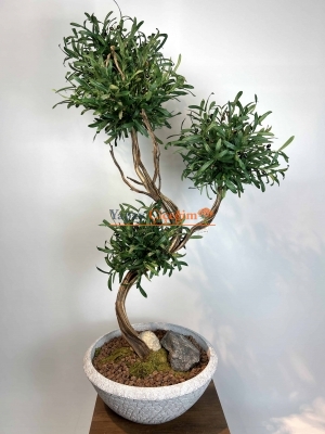 Bonzai Görünümlü Yapay Zeytin Ağacı