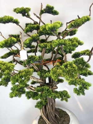 Süper Lüks Yapay Bonzai Ağacı – Dekoratif Ofis ve Ev Bonsai Modeli