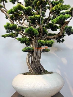 Süper Lüks Yapay Bonzai Ağacı – Dekoratif Ofis ve Ev Bonsai Modeli