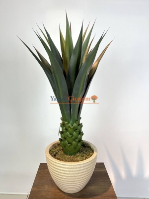 Dekoratif Yapay Agave Ağacı