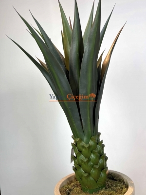 Dekoratif Yapay Agave Ağacı