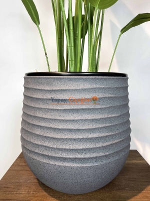 Strelitzia nicolai Yapay Ağaç