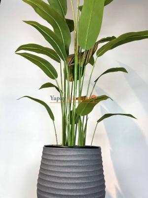 Strelitzia nicolai Yapay Ağaç
