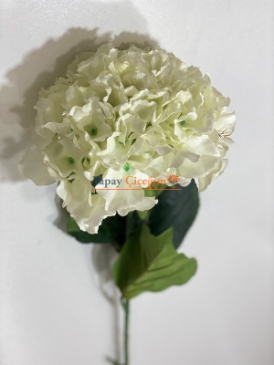 Uzun Vazo Çiçekleri - Ortanca - Krem - 2179