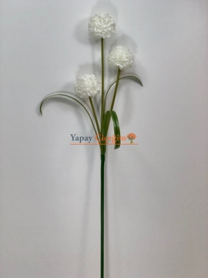 Beyaz Top Çiçek Uzun Vazo Çiçeği