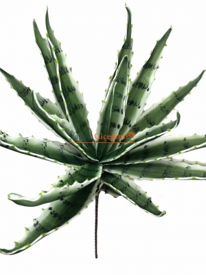 Aloe Vera Eva Yapay Çiçek