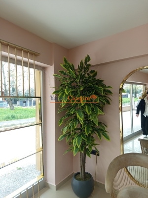 Ucuz Yapay Ağaç Çeşitleri