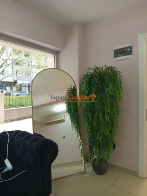 Yapay Söğüt Ağacı