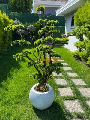 Lüks Yapay Bonzai Ağacı