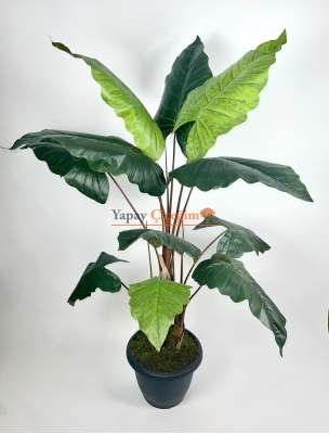 Alocasia Fil Kulagı Yapay Agaç