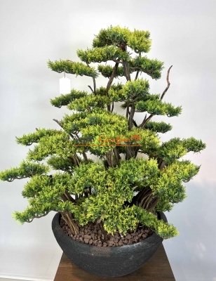 Premium Atlana Yapay Bonzai