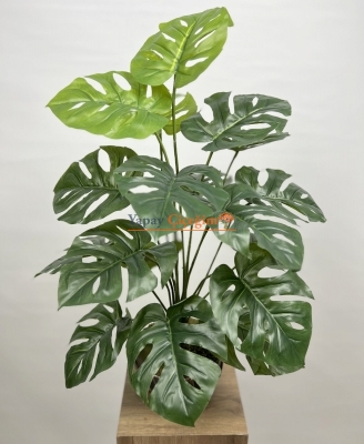 Monstera Ağacı 72 cm