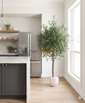 Meyveli Zeytin Ağacı