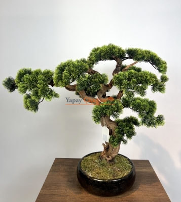 Yapay Küçük Bonsai Ağacı