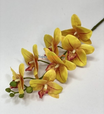 Sarı Islak Orkide Orta Boy