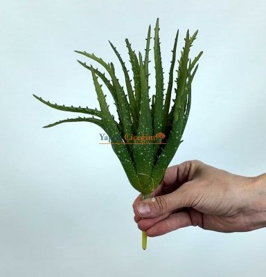 Yapay Aloe Vera Fanus Bitkileri - Yapay Çiçek