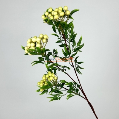 Sarı Uzun Saplı Kokina Çiçeği - Kış Çiçeği - Kukina Çiçeği