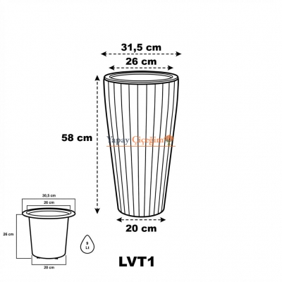 Lilyum Plastik Saksı