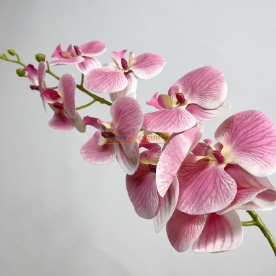 Pembe Islak Orkide - Yapay Çiçek