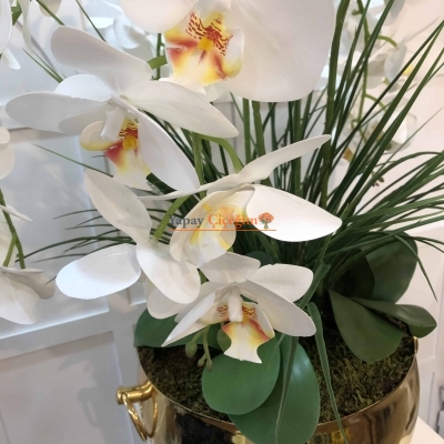 Orkide Gold Büyük Şık Söz Nişan Çiçeği