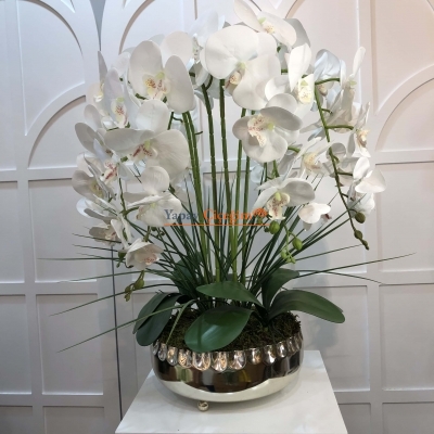 Orkide Gümüş Şık Söz Nişan Çiçeği