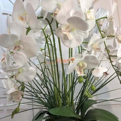 Orkide Gümüş Şık Söz Nişan Çiçeği