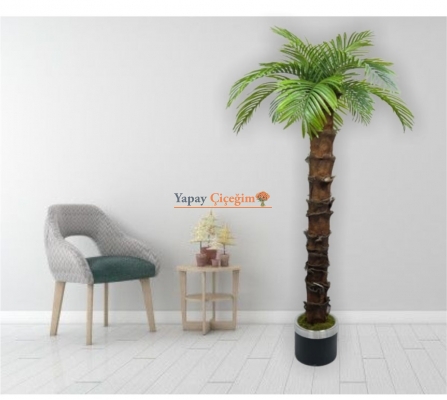 Yapay Palmiye Ağacı Modelleri