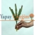 Bursa Yapay Skulent Satan Yerler