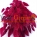 Kırmızı Pamuk Otu - Kuru Çiçek - Lagurus 1712