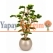 Bonsai Yapay Ağaç Plastik Saksılı